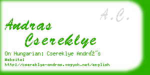 andras csereklye business card